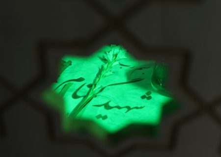 هرمزگان میزبان ۱۴ شهید گمنام در ایام فاطمیه است