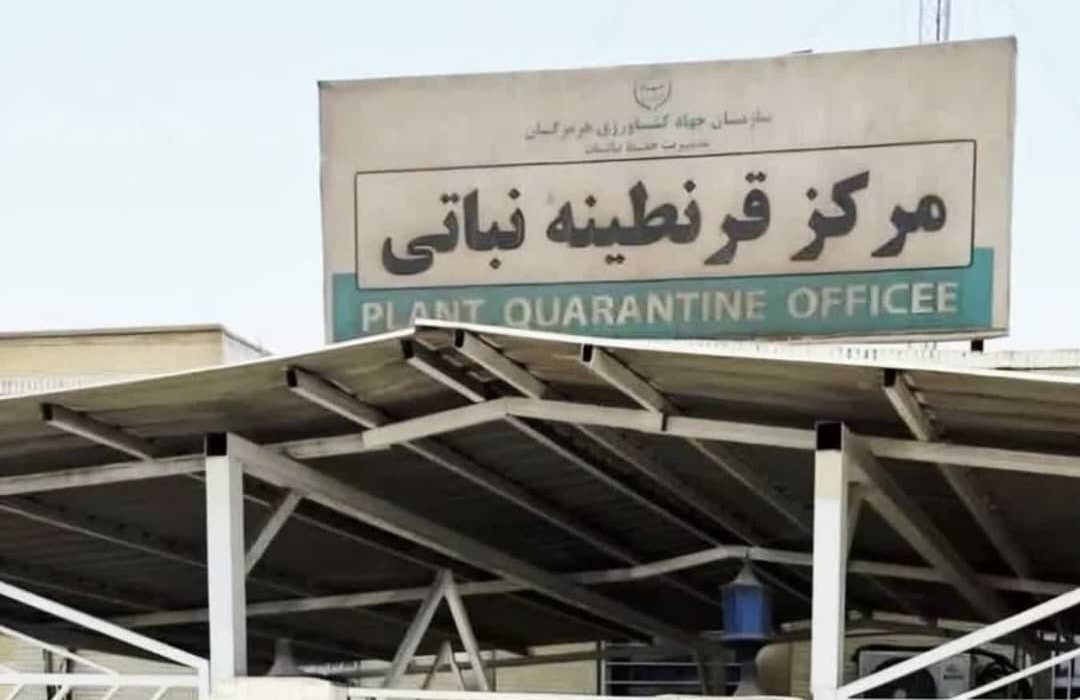 عبور از مرز ۵۵۸ هزار تن صادرات محصولات کشاورزی در هرمزگان