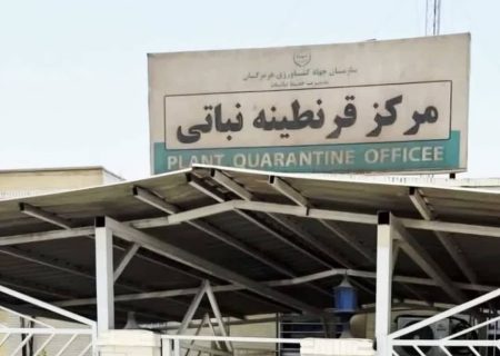 عبور از مرز ۵۵۸ هزار تن صادرات محصولات کشاورزی در هرمزگان